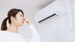 Mold In Air Conditioner