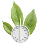 Thermometer entwined with a green leaf symbolizing eco-friendly temperature control.